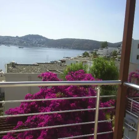 Milport Bodrum