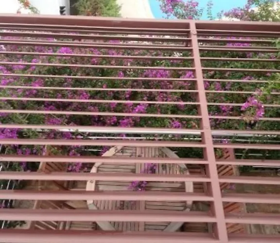 Milport Bodrum Битез