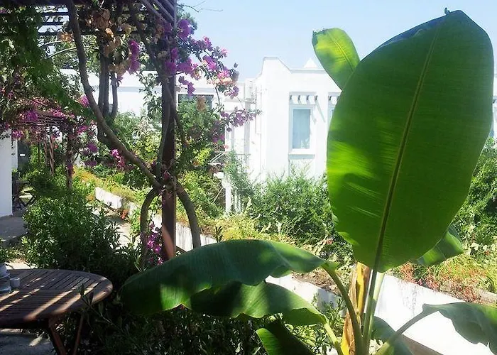 Отель Milport Bodrum