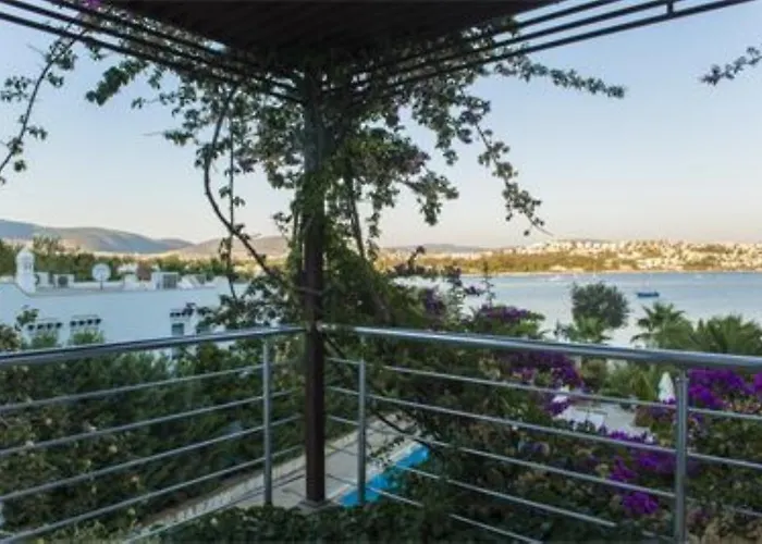 Отель Milport Bodrum 3*