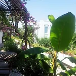 Hotel Milport Bodrum