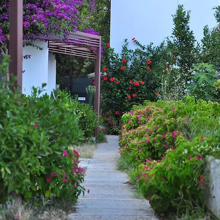 Milport Bodrum Битез