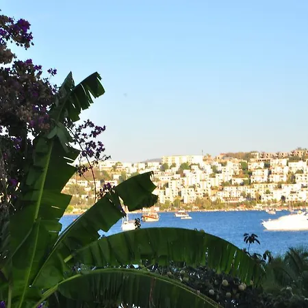 Milport Bodrum 3*