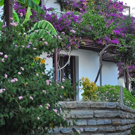 Milport Bodrum Битез