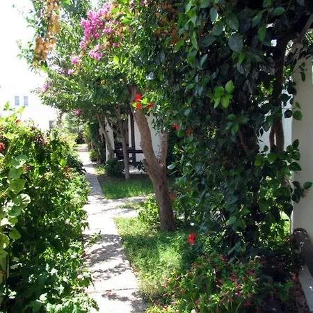 Milport Bodrum Битез