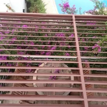 Milport Bodrum بيتيس