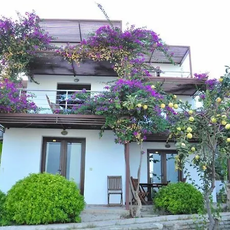 فندق Milport Bodrum بيتيس