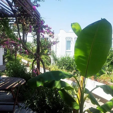 Отель Milport Bodrum