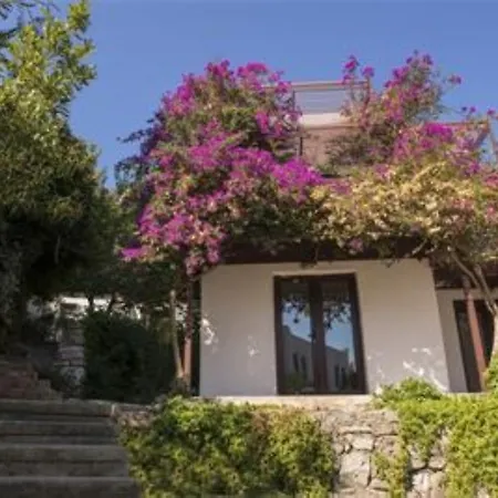 Milport Bodrum Битез