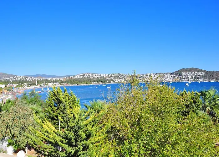 מלון Milport Bodrum 3*