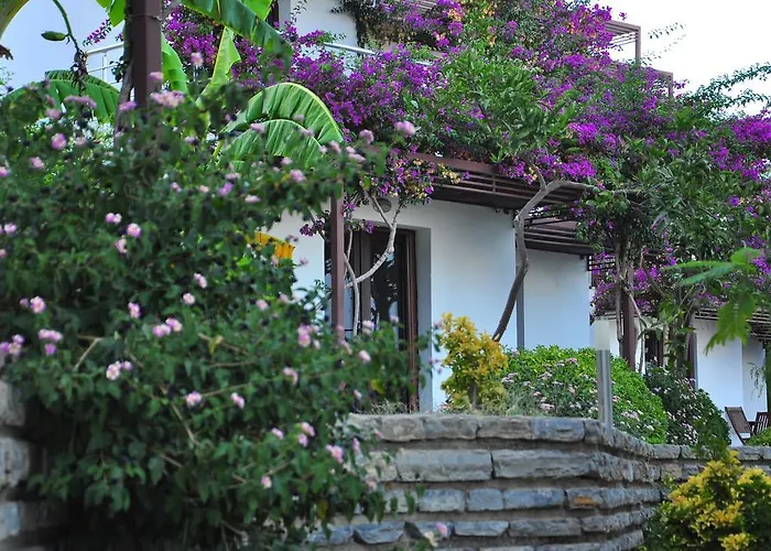 Milport Bodrum ביטז