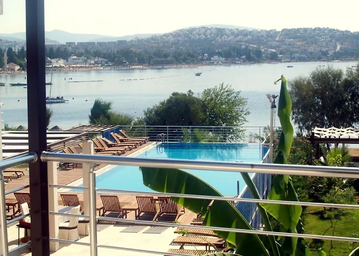 Milport Bodrum ביטז