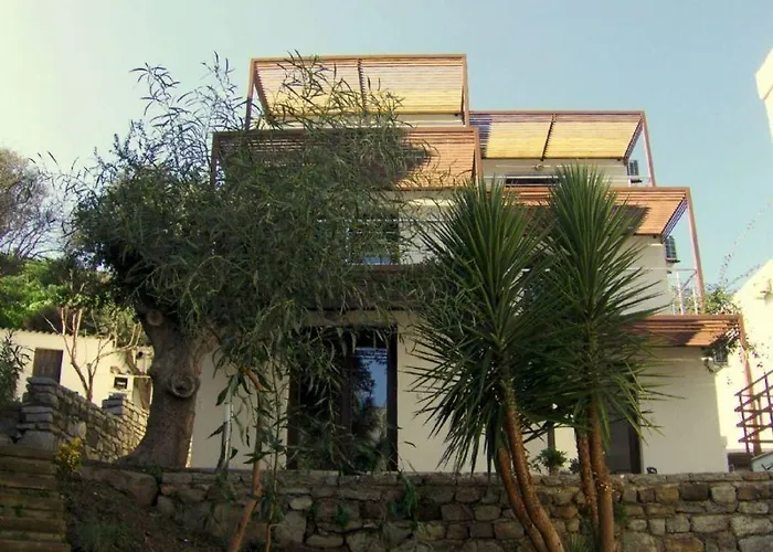 Milport Bodrum ביטז